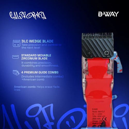 B-way California Clipper, view 2