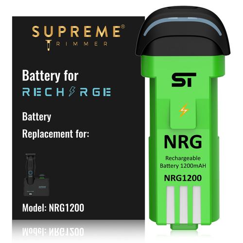 Recharge Battery-NRG1200, view 2
